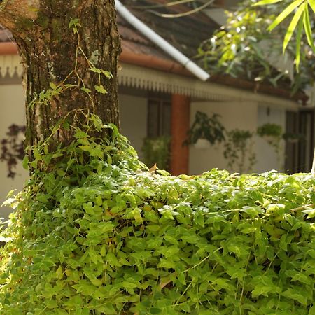 Mi Casa Tu Casa Homestay Kochi Exterior photo